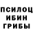 Псилоцибиновые грибы Psilocybe Allison Neal