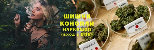 сатива Надым