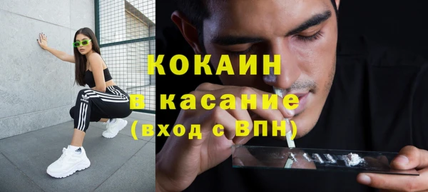 сатива Надым