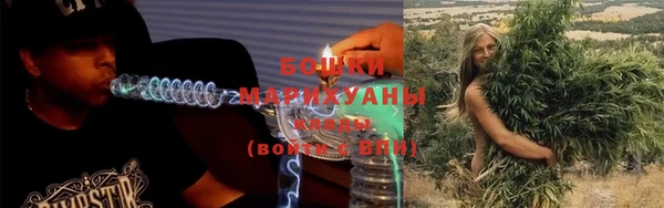 сатива Надым
