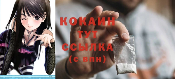 сатива Надым