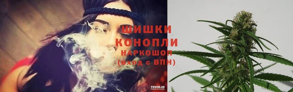 сатива Надым