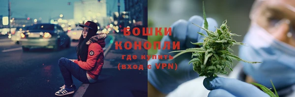сатива Надым