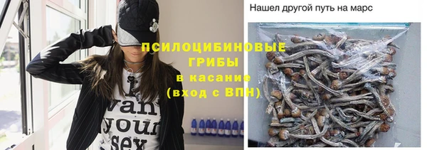 спиды Наволоки