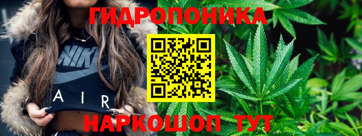 Конопля план  Вход с VPN  Абакан  Бошки Шишки гибрид  Канабис ГИДРОПОН 